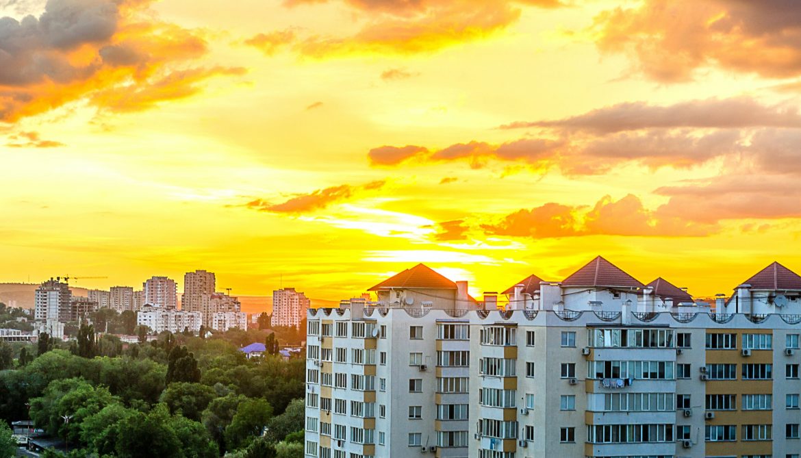 pexels-nicolae-casîr-205078